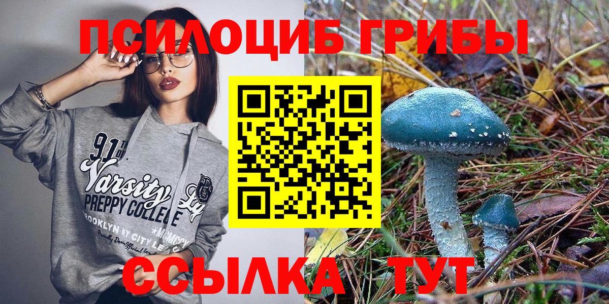 Псилоцибиновые грибы мицелий  Вход с VPN  Десногорск 