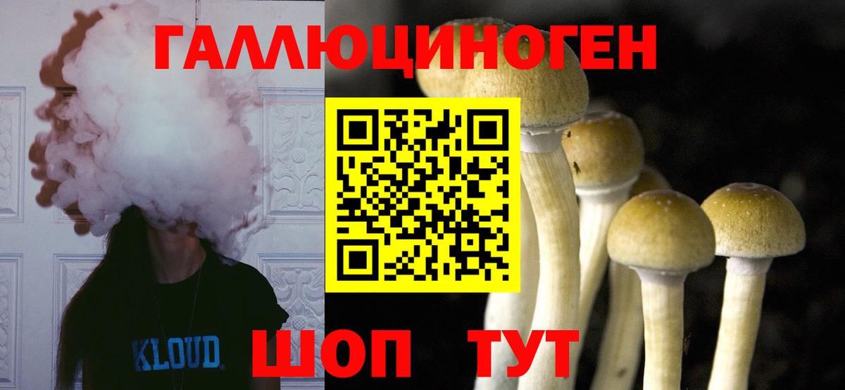 Альфа ПВП Десногорск